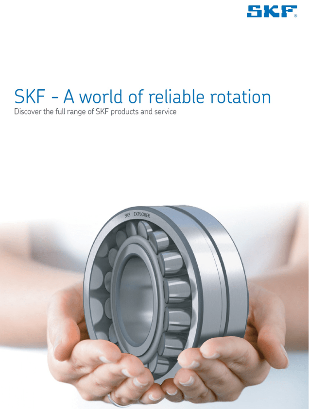 SKF Salesman